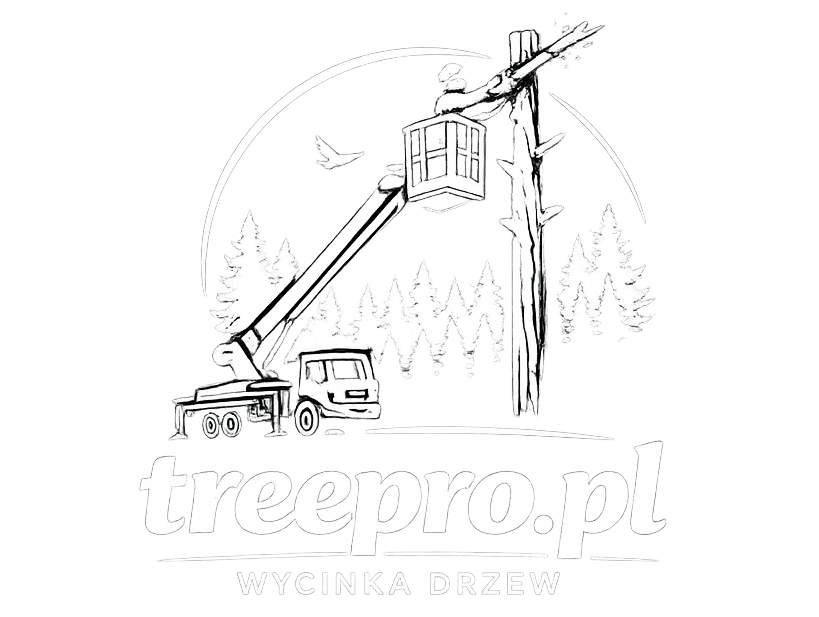 TreePro - profesjonalna wycinka drzew
